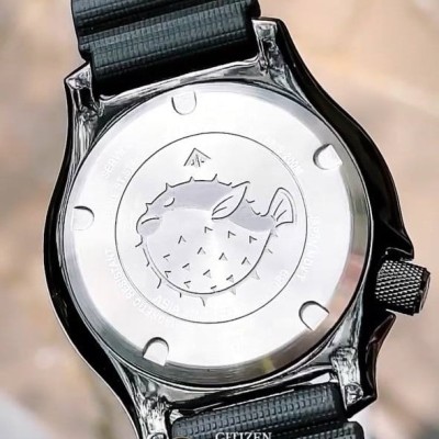 ساعت مردانه Promaster سیتیزن اتوماتیک مدل NY0139-11E