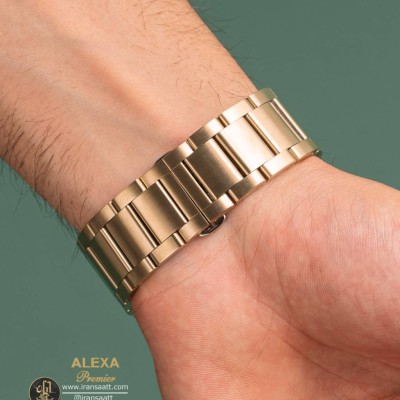 ساعت مچی عقربه ای مردانه استیل الکسا مدل ALEXA-0068
