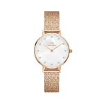 DW rose gold analog watch