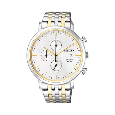 Golden Silver Citizen watch