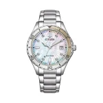 Ecodry silver shell watch