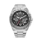 Promaster Citizen ecodrive watch