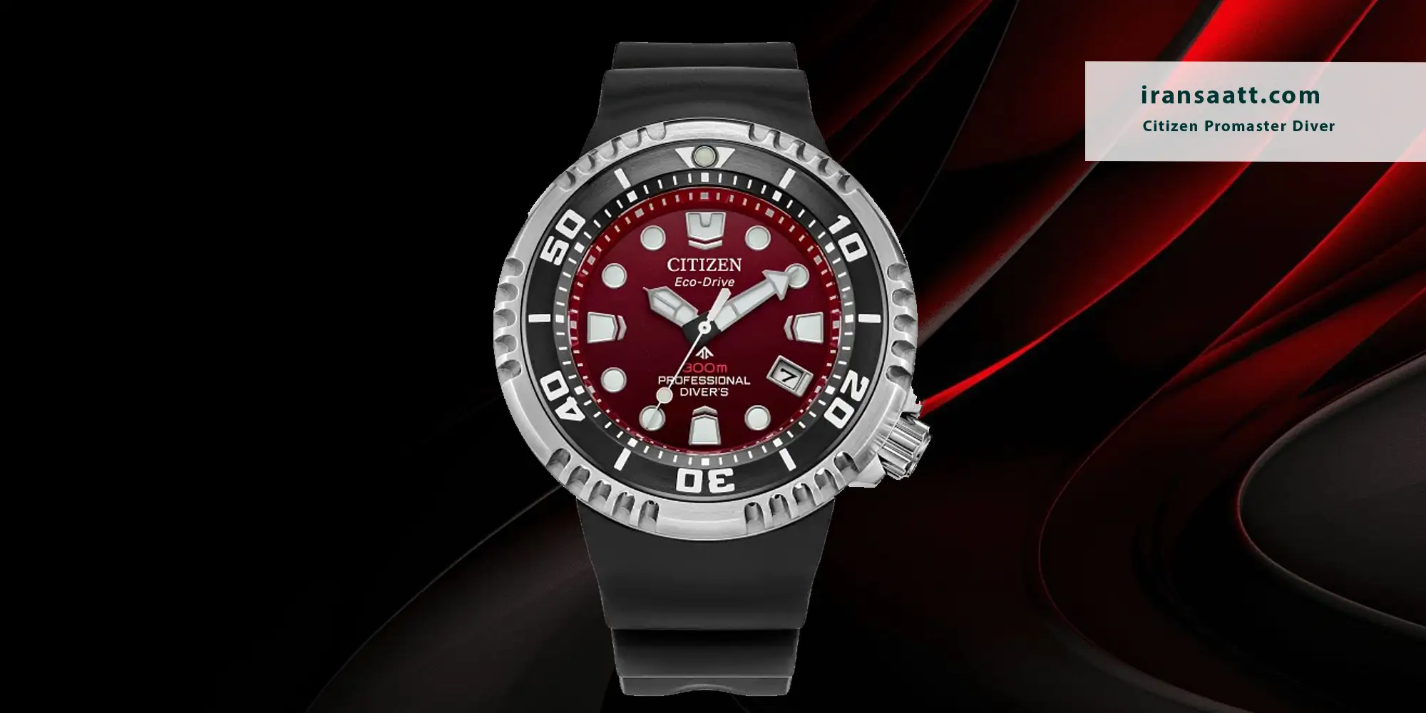 Citizen Promaster Diver