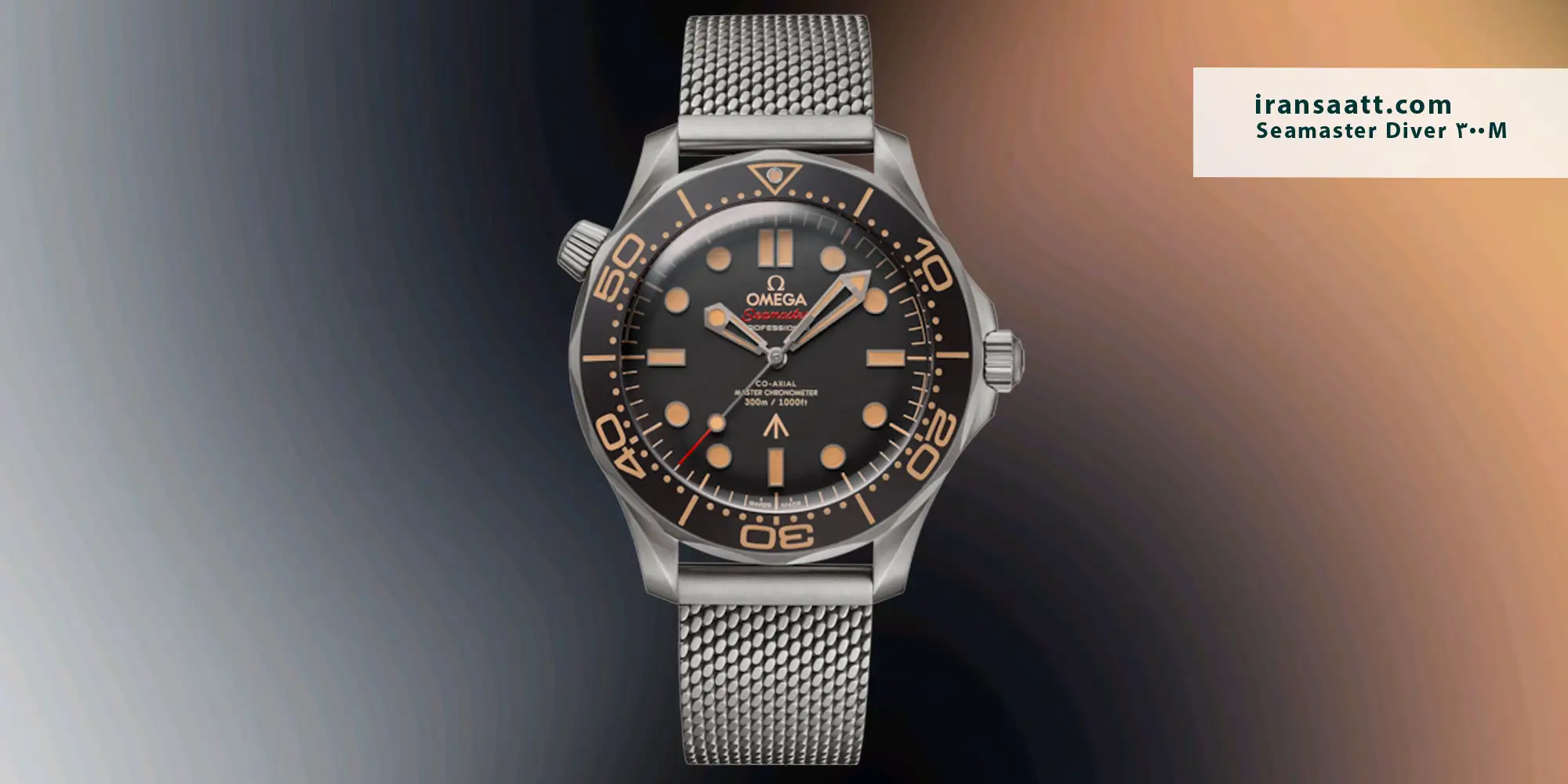 Omega Seamaster Diver 300M
