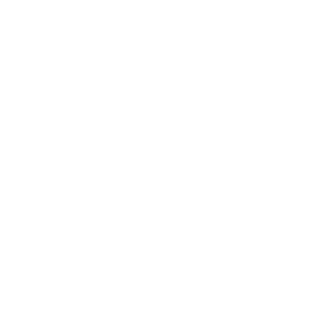 زینوو