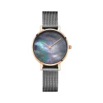 ساعت زنانه بستدان کوارتز مدل BD99225SL-B03