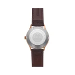 ساعت مردانه اورینت اتوماتیک مدل RA-AC0P04Y