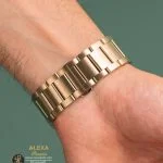 ساعت مچی عقربه ای مردانه استیل الکسا مدل ALEXA-0068